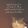 @1057050762