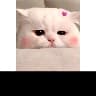 @1112372909