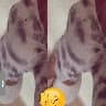 @1120026756