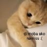 @325033558