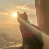 @788234485