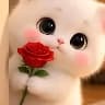 @968455656