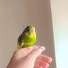 @Sebir_313