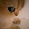@khin2005
