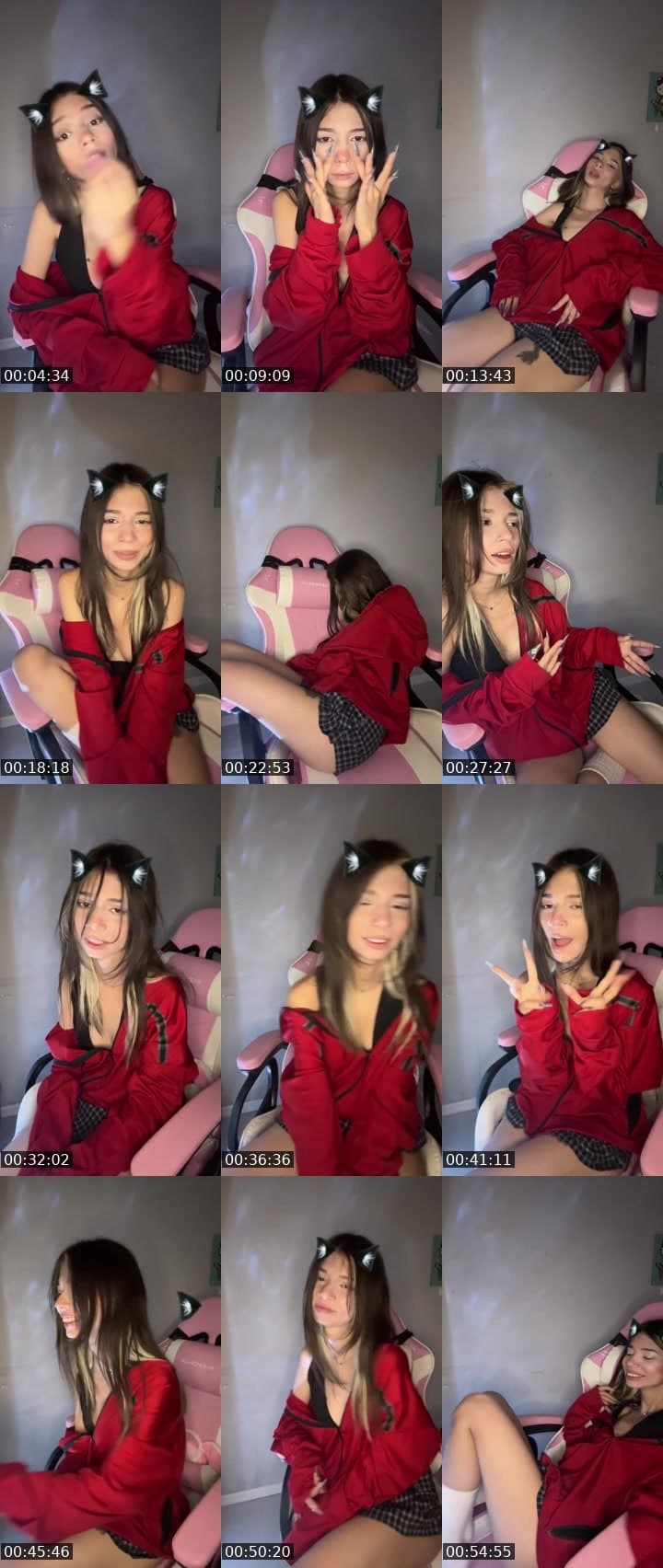 Donkey donkey
