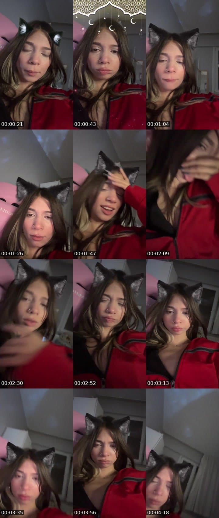 Donkey donkey