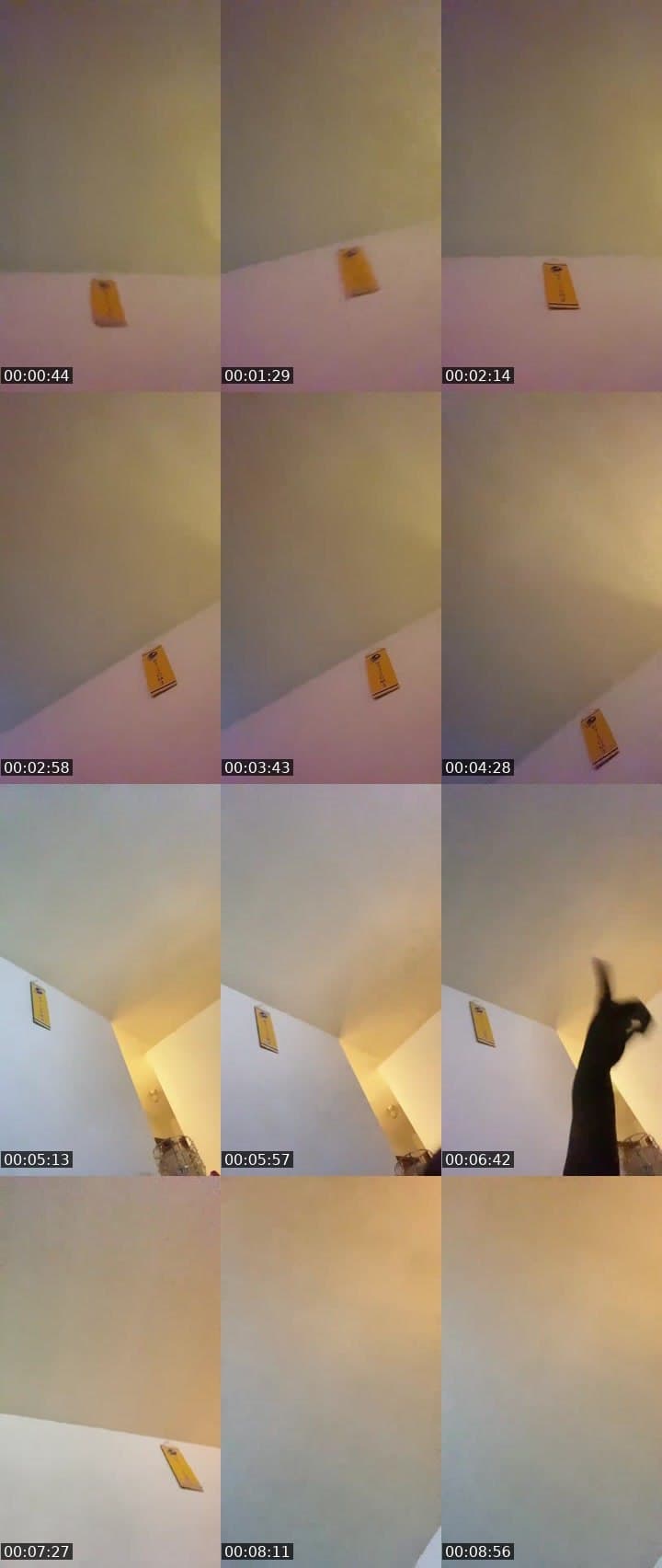 lol