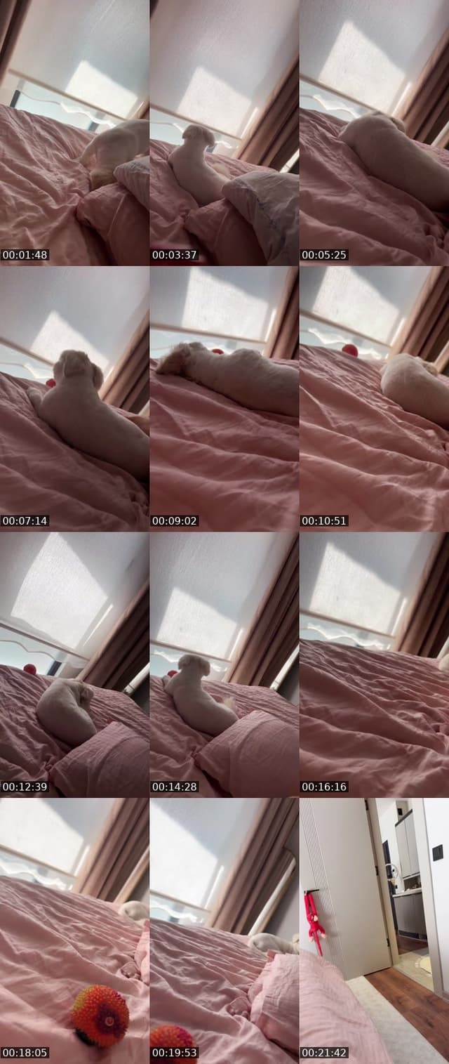 Bigo live: #Cutey En şanslı yayın 🧿 by @nisanuyy