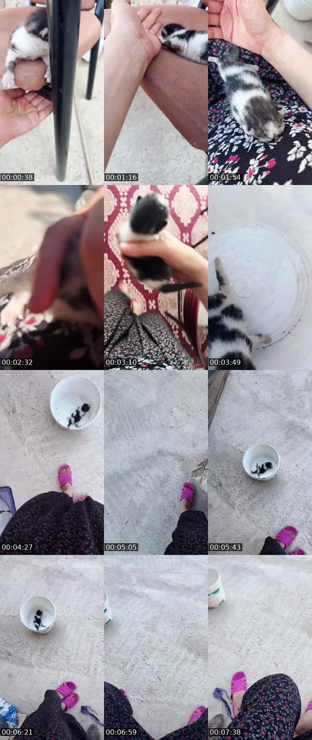 Bigo live: Asil severler gelsin by @asil.siyah.36