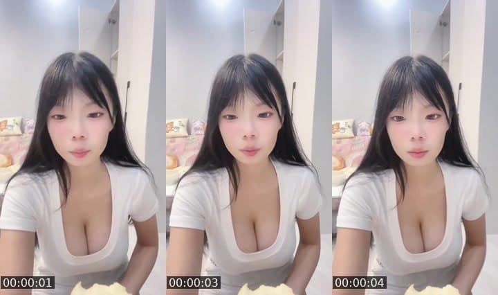 进来养宠物