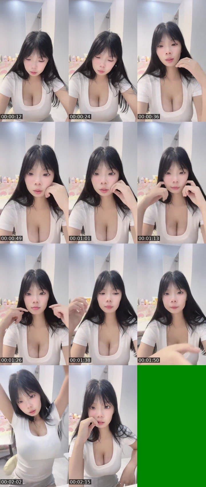 进来养宠物