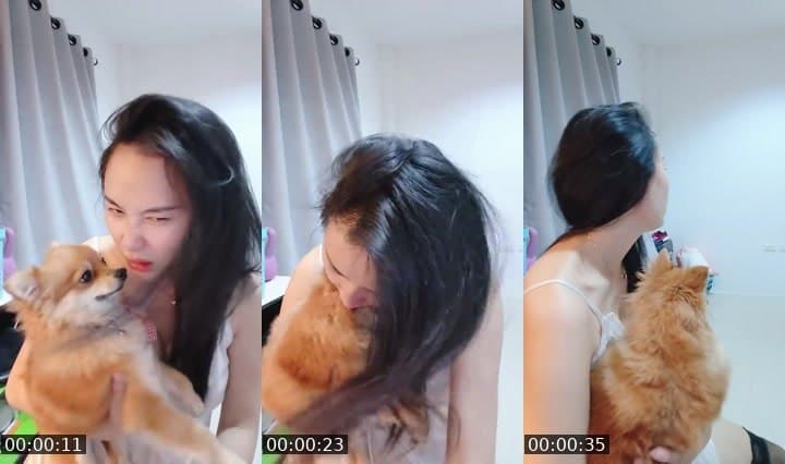 มาาพร้อมโหลด