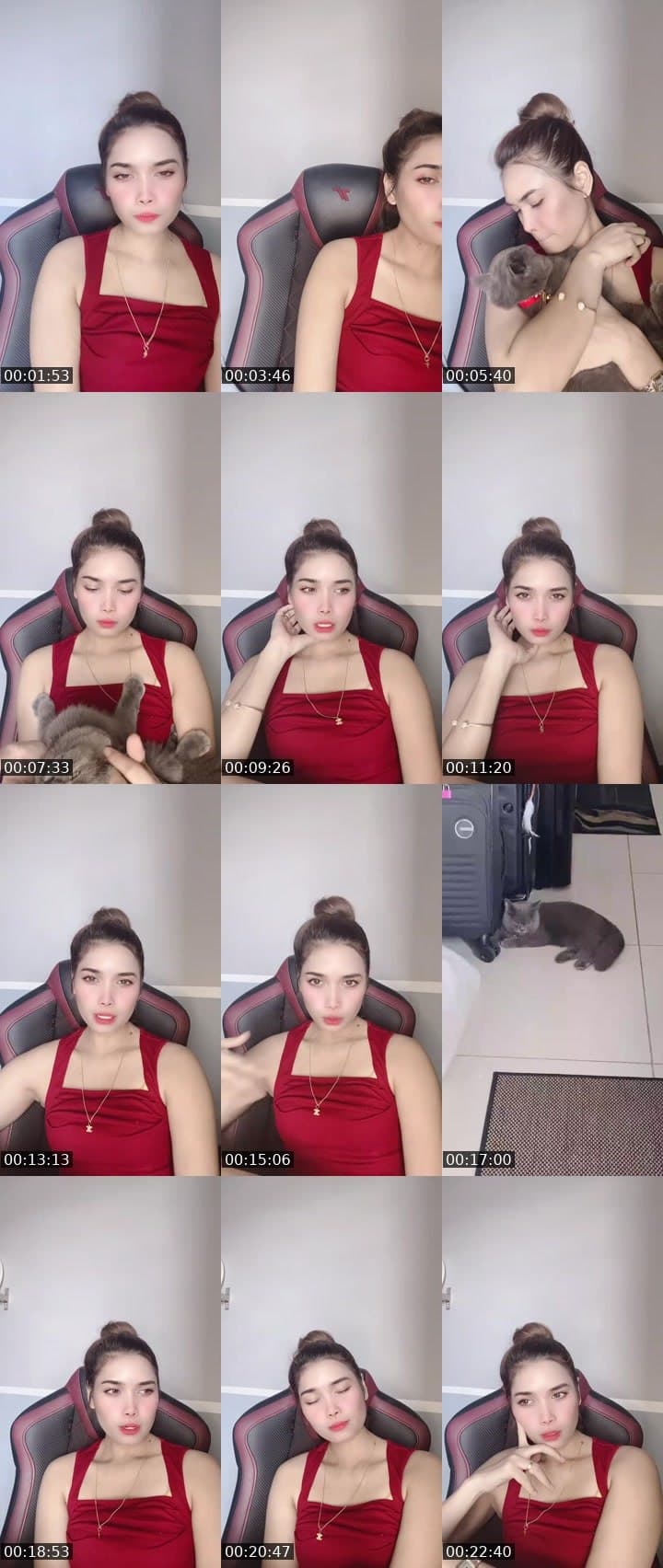 Mewww Task meow