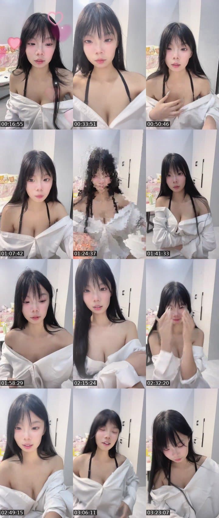 进来养宠物