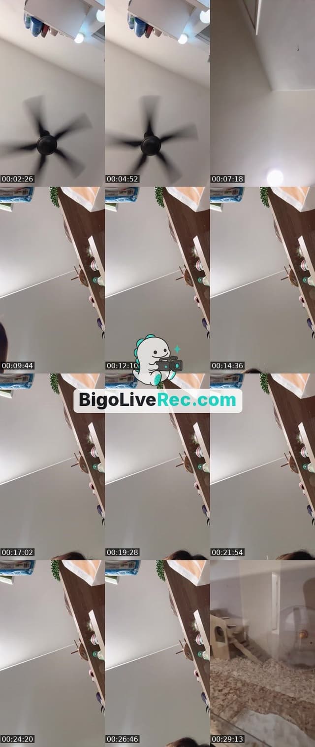 Bigo live: Sikijap by @111297hz