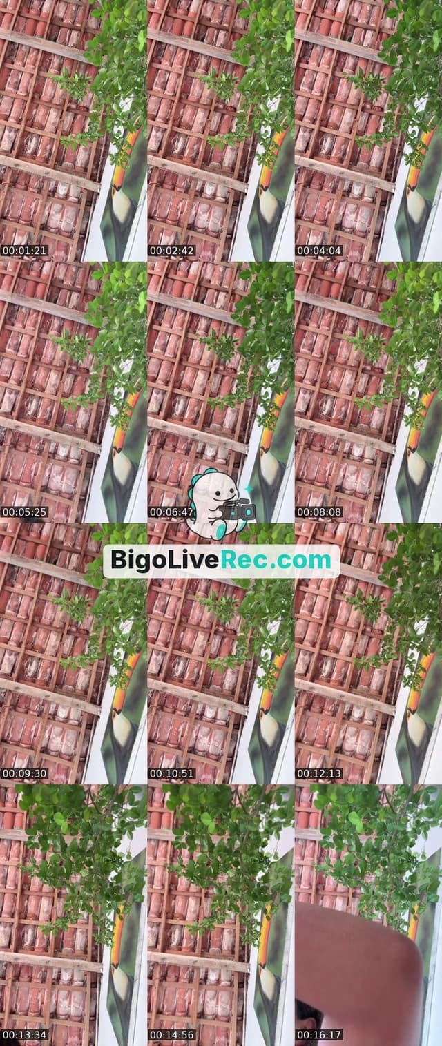 Bigo live: 100%🔋 Dance? ⭐️   -> 🇺🇸🇮🇹🇯🇵🇦🇷🇵🇹🇦🇹🇭🇷🇧🇷 by @977557422
