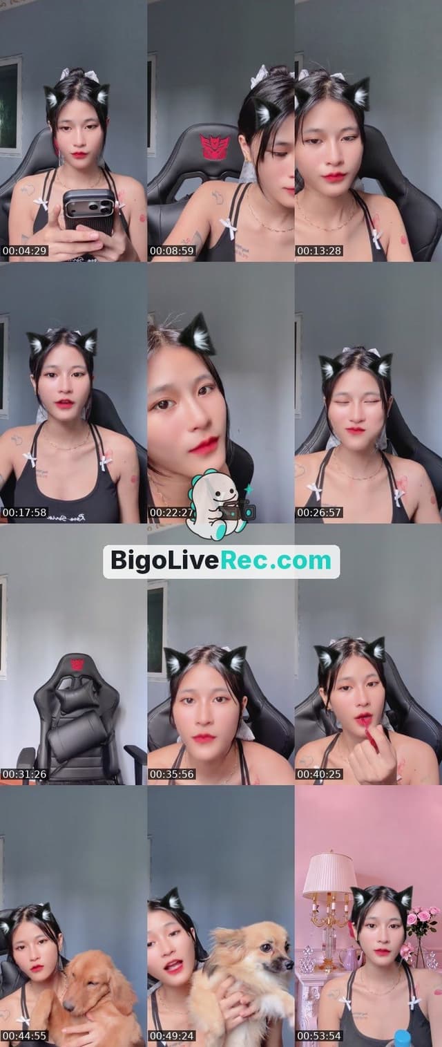Bigo live: 4starပွင့်ရင်ကပြမယ်ကွာ⭐️⭐️⭐️⭐️ by @1137117888