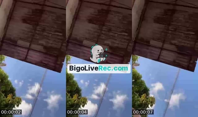 Bigo live: #Beauty Pk diário  by @eulu