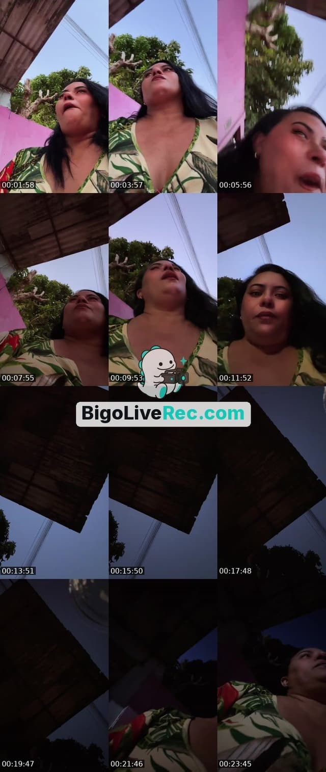 Bigo live: Pk diário  by @eulu