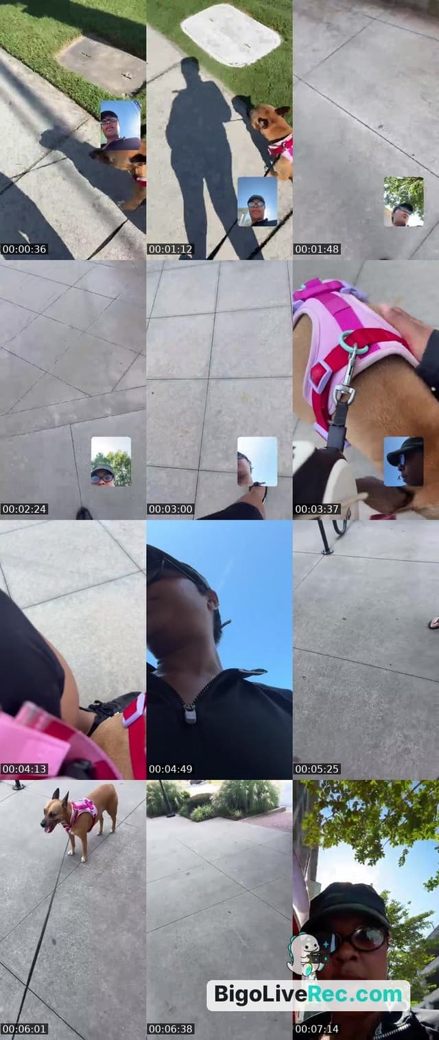 Bigo live: #BlackExcellenceAlways Come walk Sophie w / me🐕💕 by @indiibby