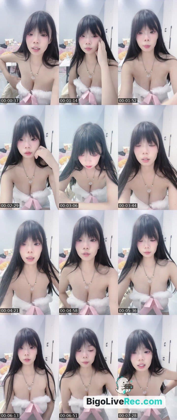 进来养宠物