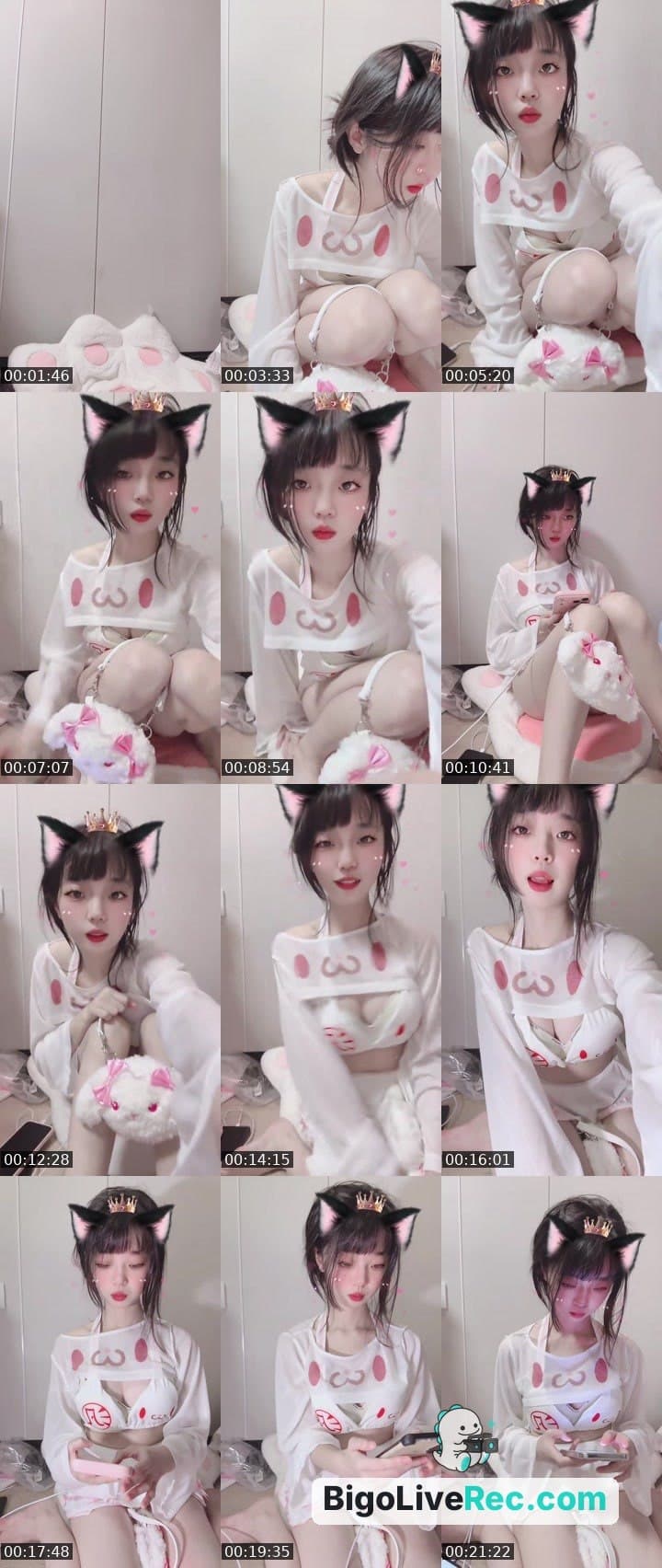 人生信条 兔兔最大