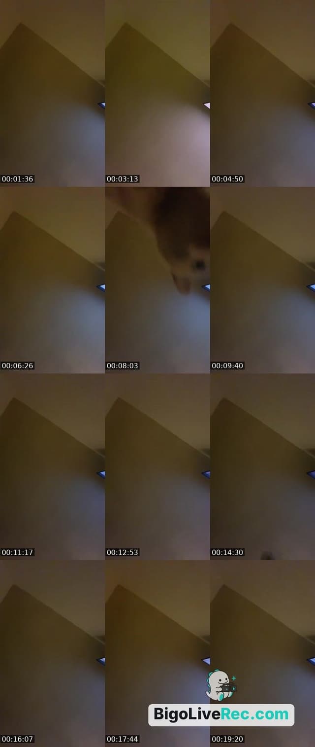 Bigo live: I’m back lol by @123sexylove