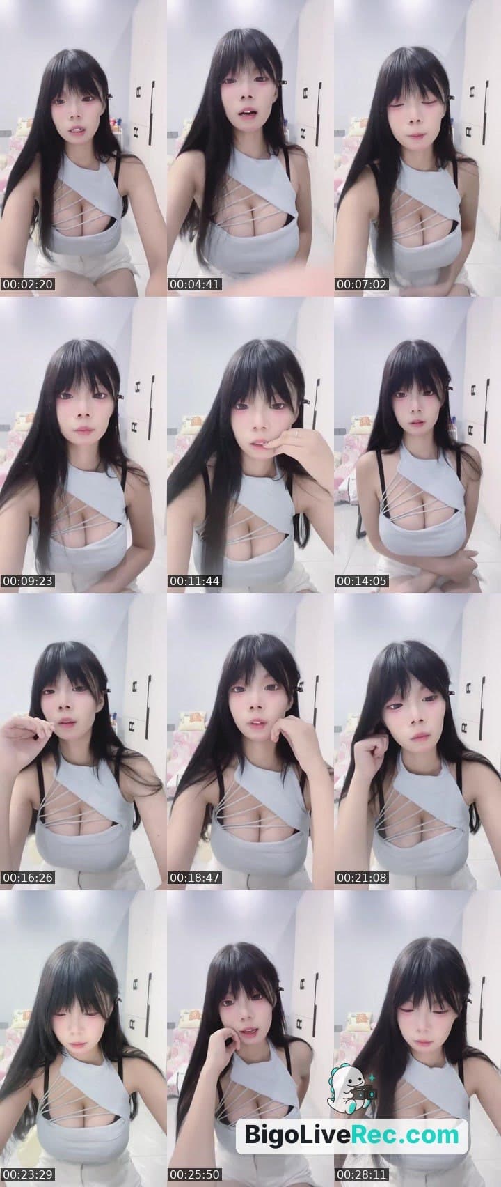 进来养宠物