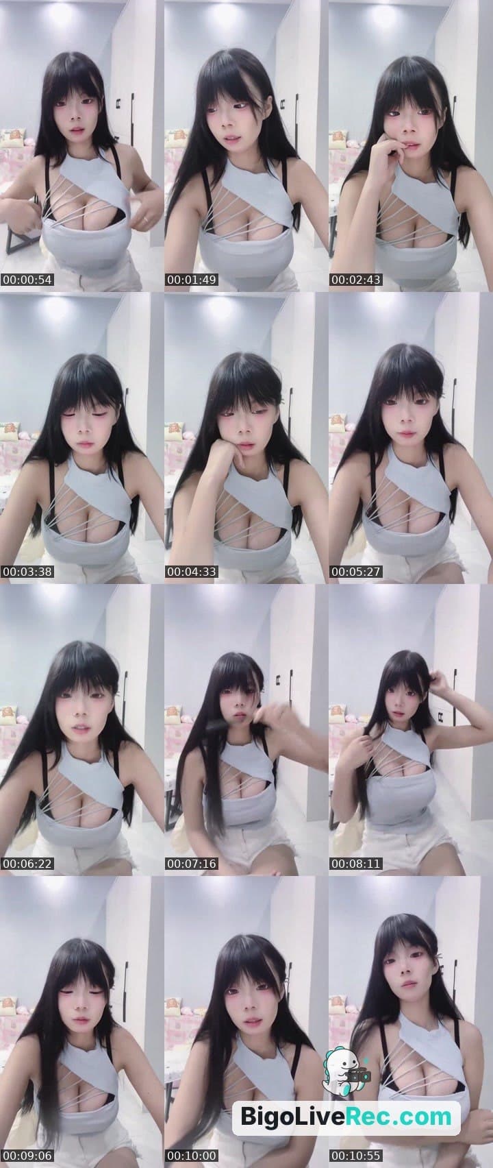 进来养宠物