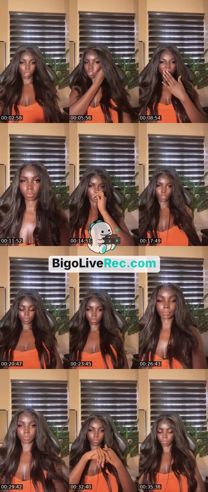 Naija Barb