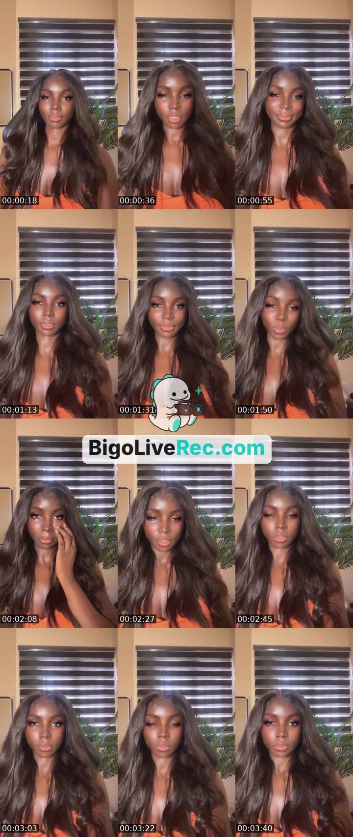 Naija Barb