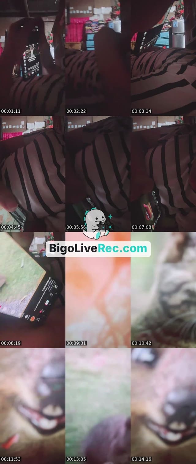 Bigo live: 21k baby by @sam_myang