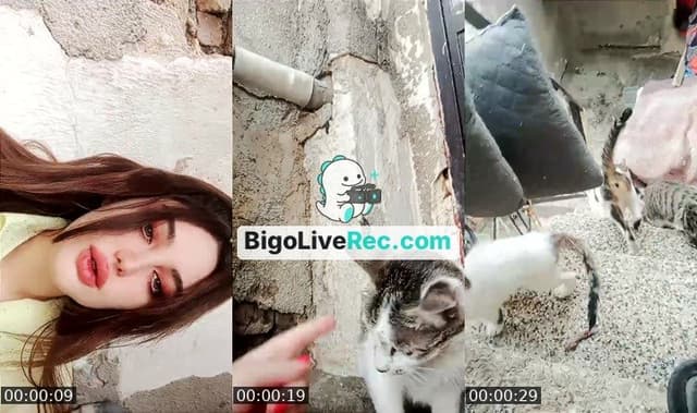Bigo live: 🐸 by @942716567