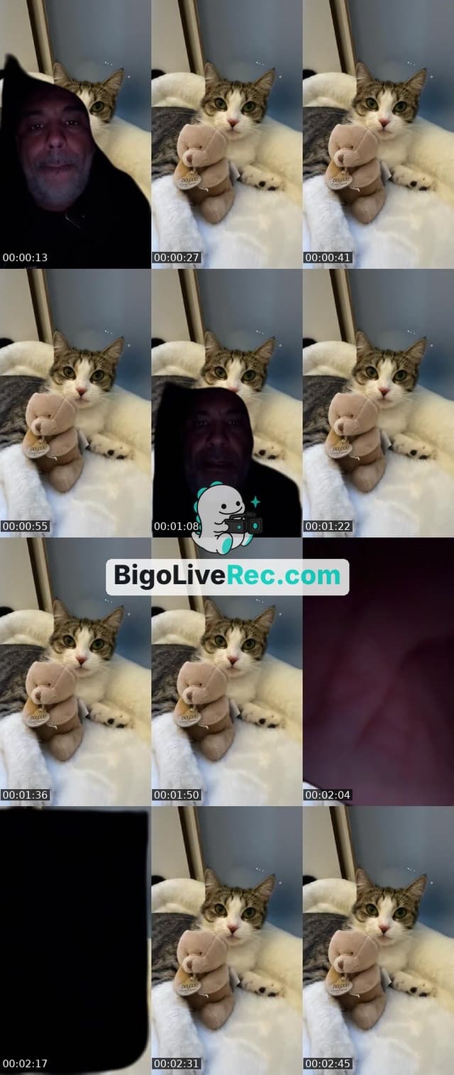 Bigo live: #DJ Pour aujourd’hui by @771362851