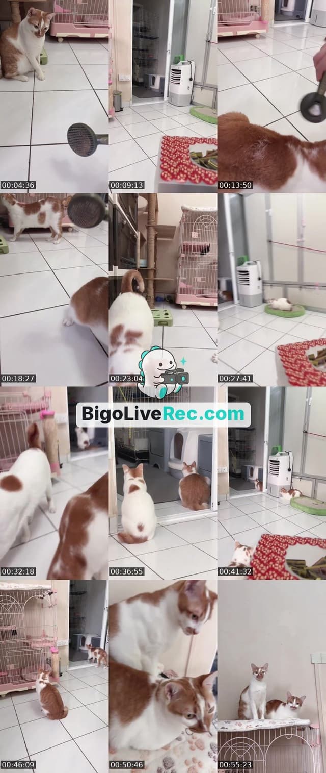 Bigo live: 抽奖模式种开启🤪❤️ by @ak47_spicy