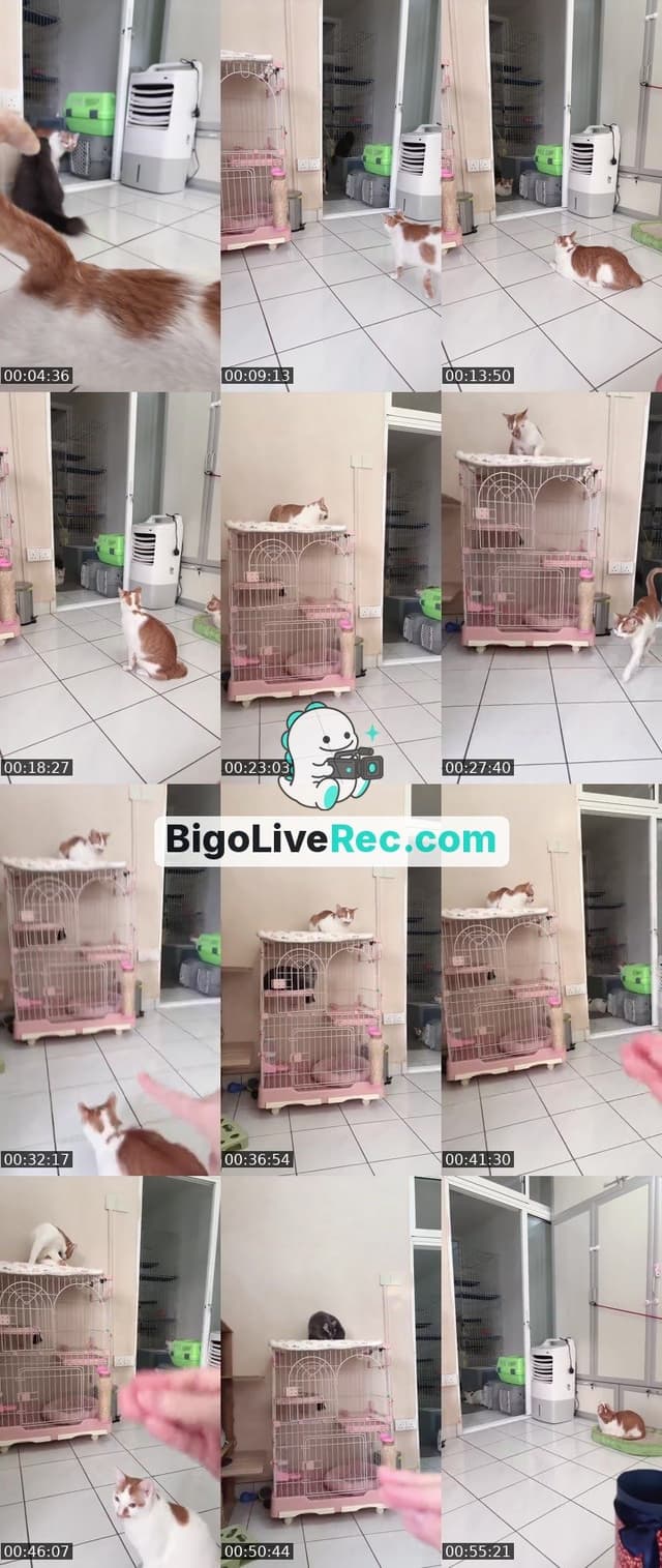 Bigo live: 好事成双 坏事成空🤪抽奖开启！ by @ak47_spicy