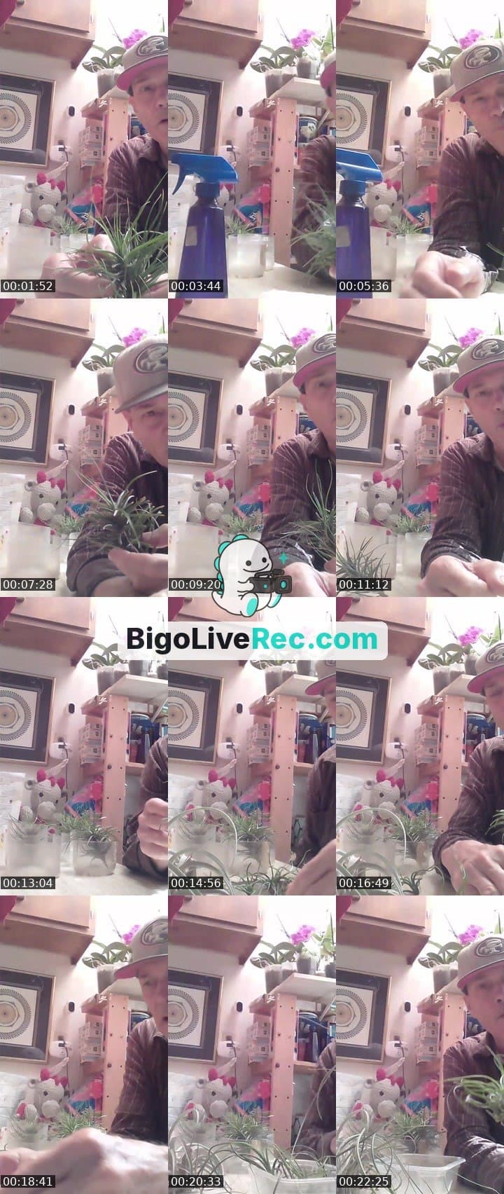 #Beauty Orchids and air plants