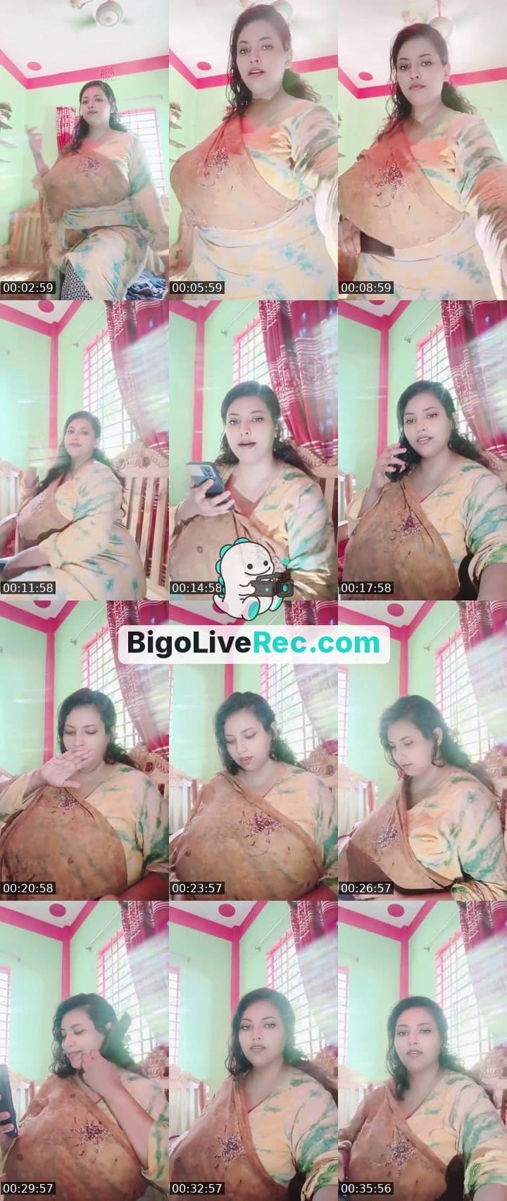 অফিসিয়াল হোস্ট