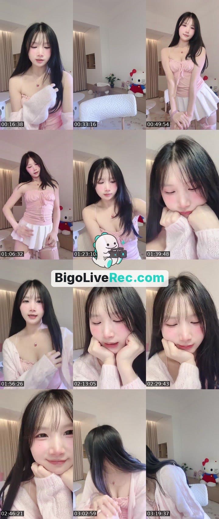 🍀小红帽2026🌟
