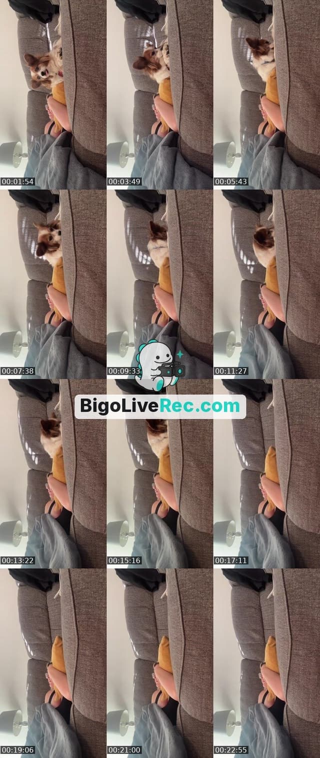 Bigo live: 🌹ᗩℓ𝗒𝔰𝔰ă̈ 🌸 by @alyssaemily