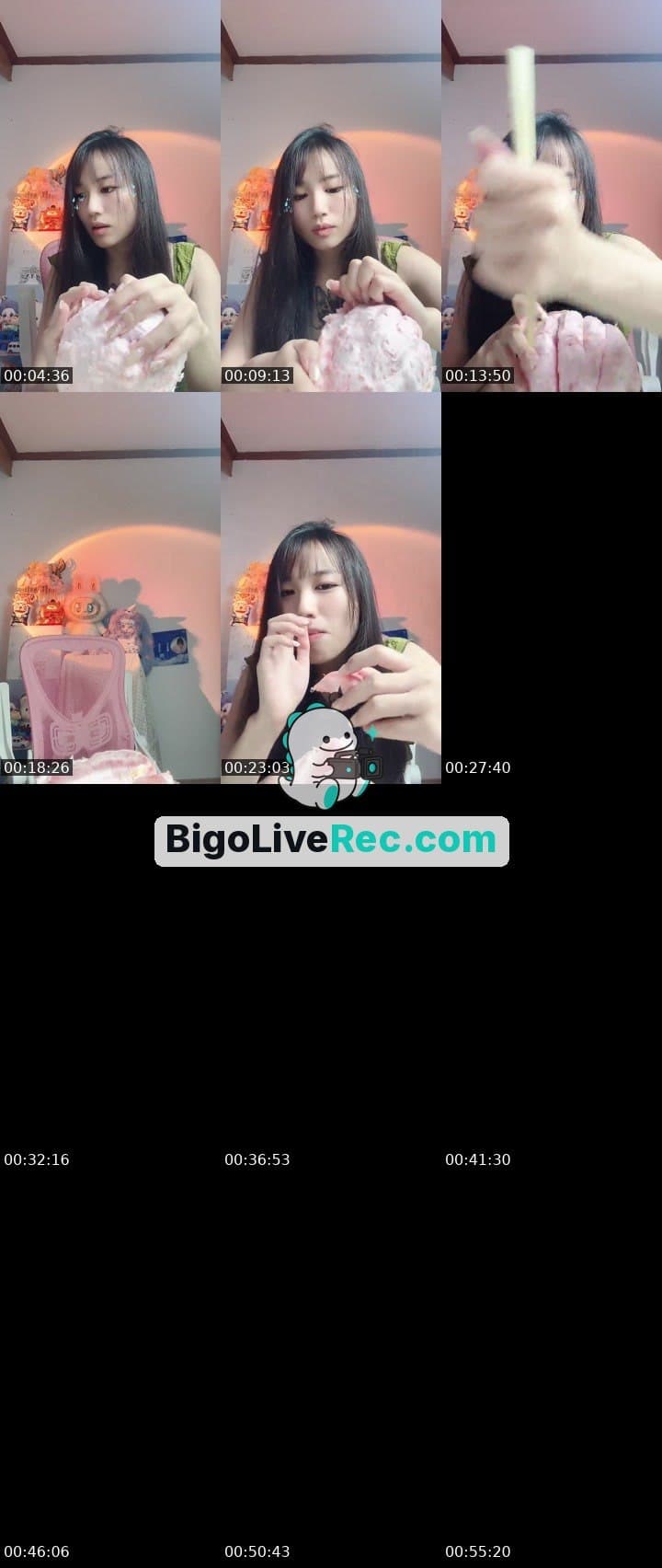 #charmer 我家的猫会后空翻🐈