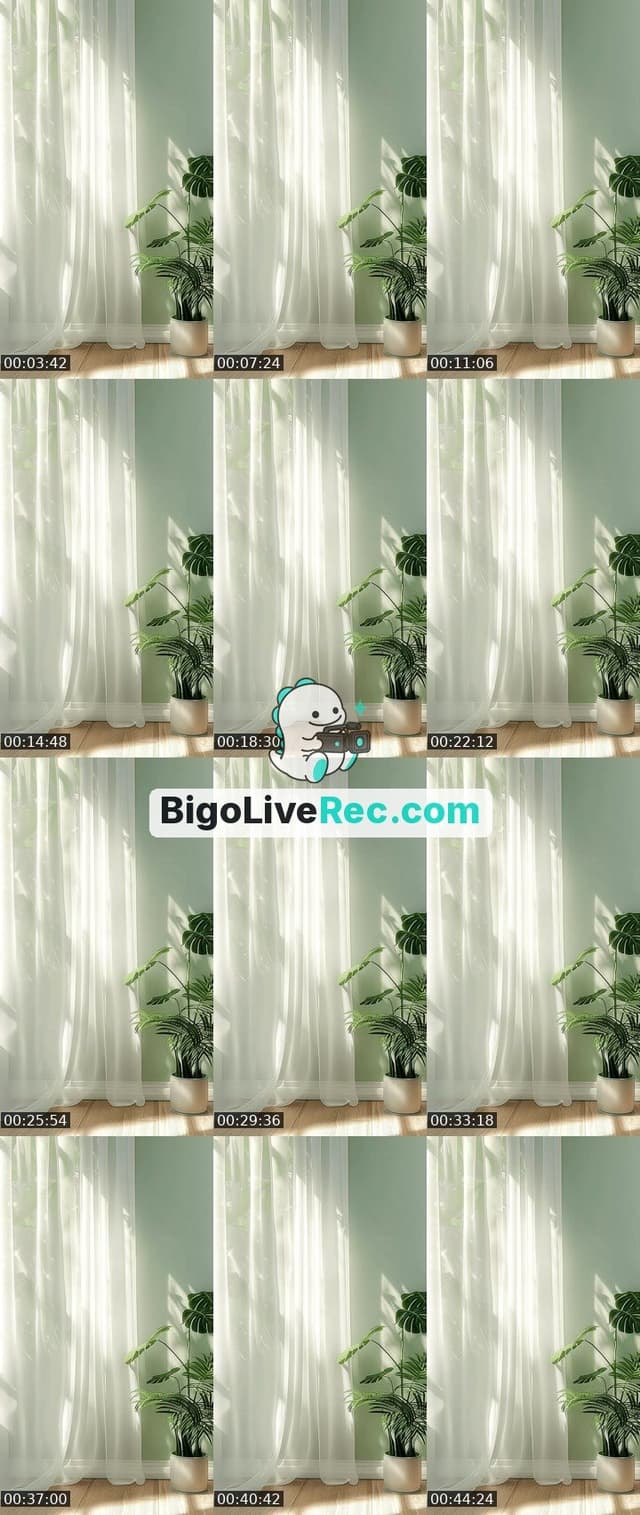 Bigo live: horas by @alinequeiroz.s