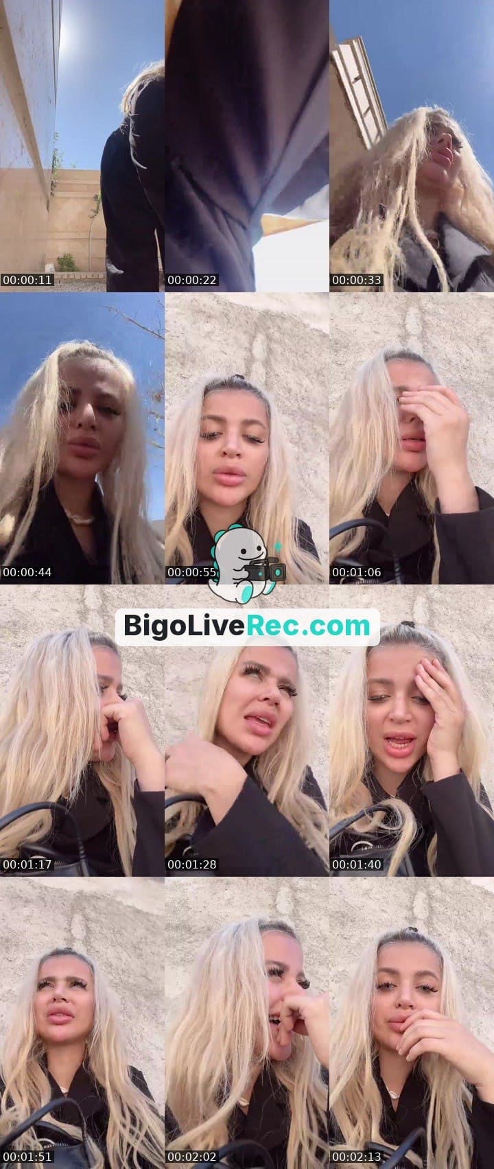 Barbieorj