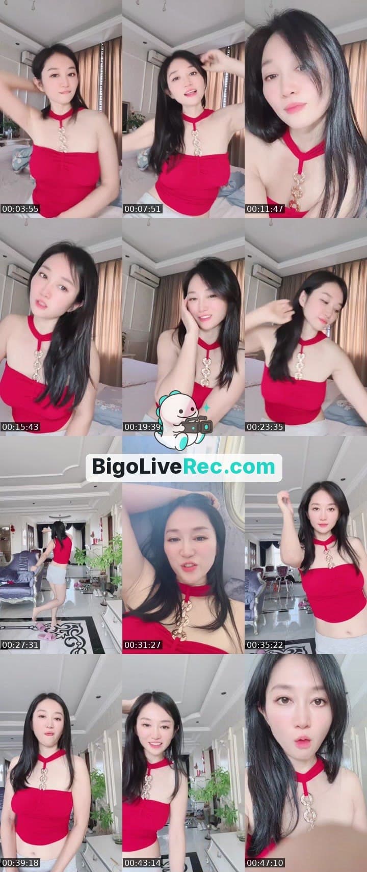 新来的💕