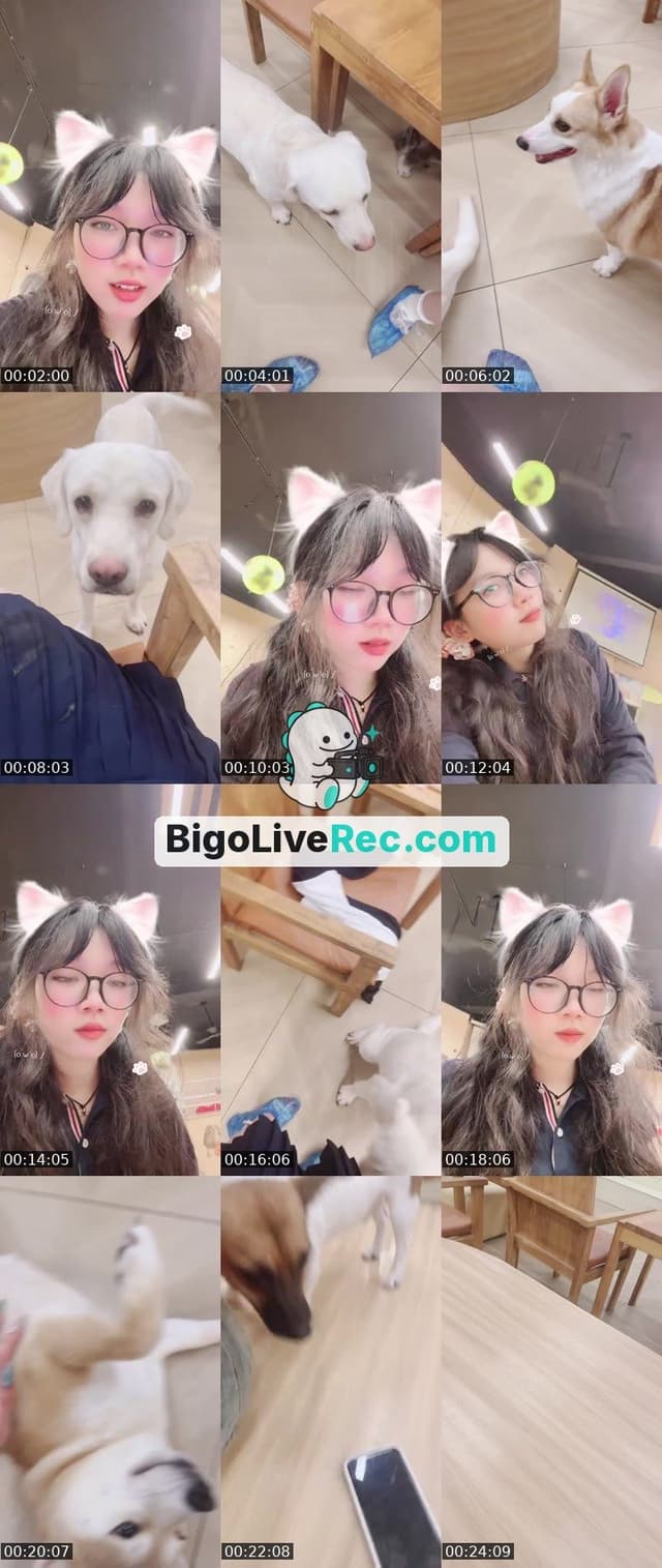 Bigo live: 大学生直播QAQ by @1130101081