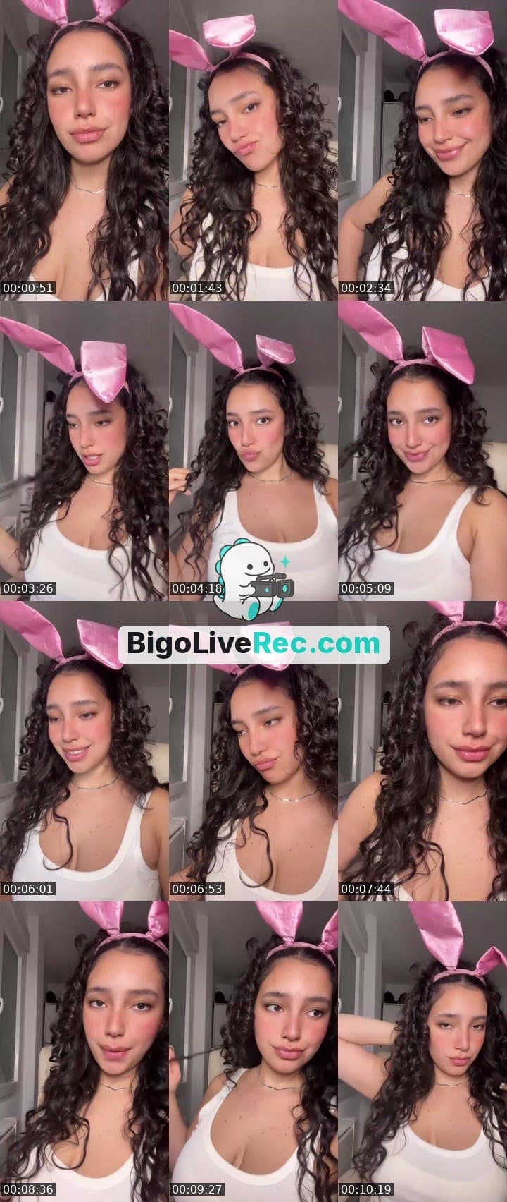 Your Bunny 