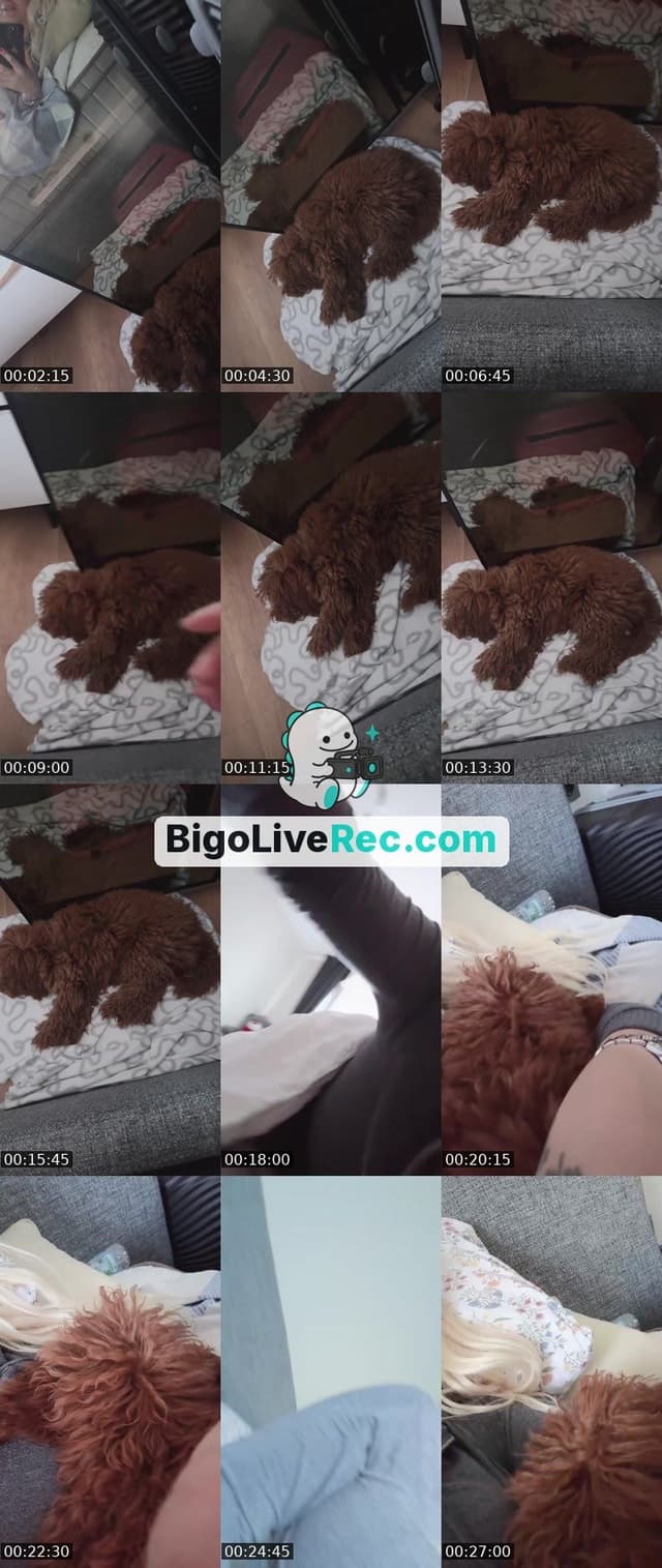 Bigo live: #Cutey 🐆 by @liyelsam