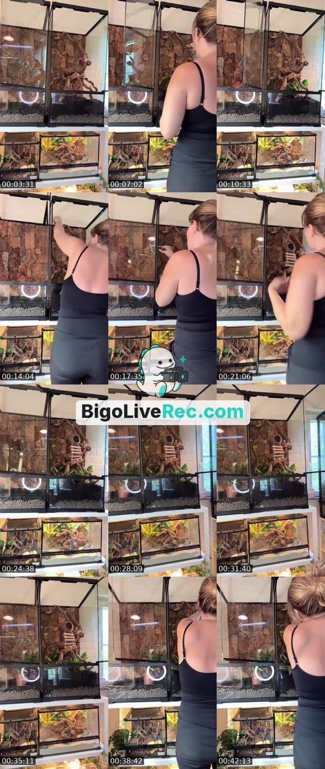 Bigo live: ✨𝐍𝐨𝐱𝐢✨✌️⃤ by @xxnoxi